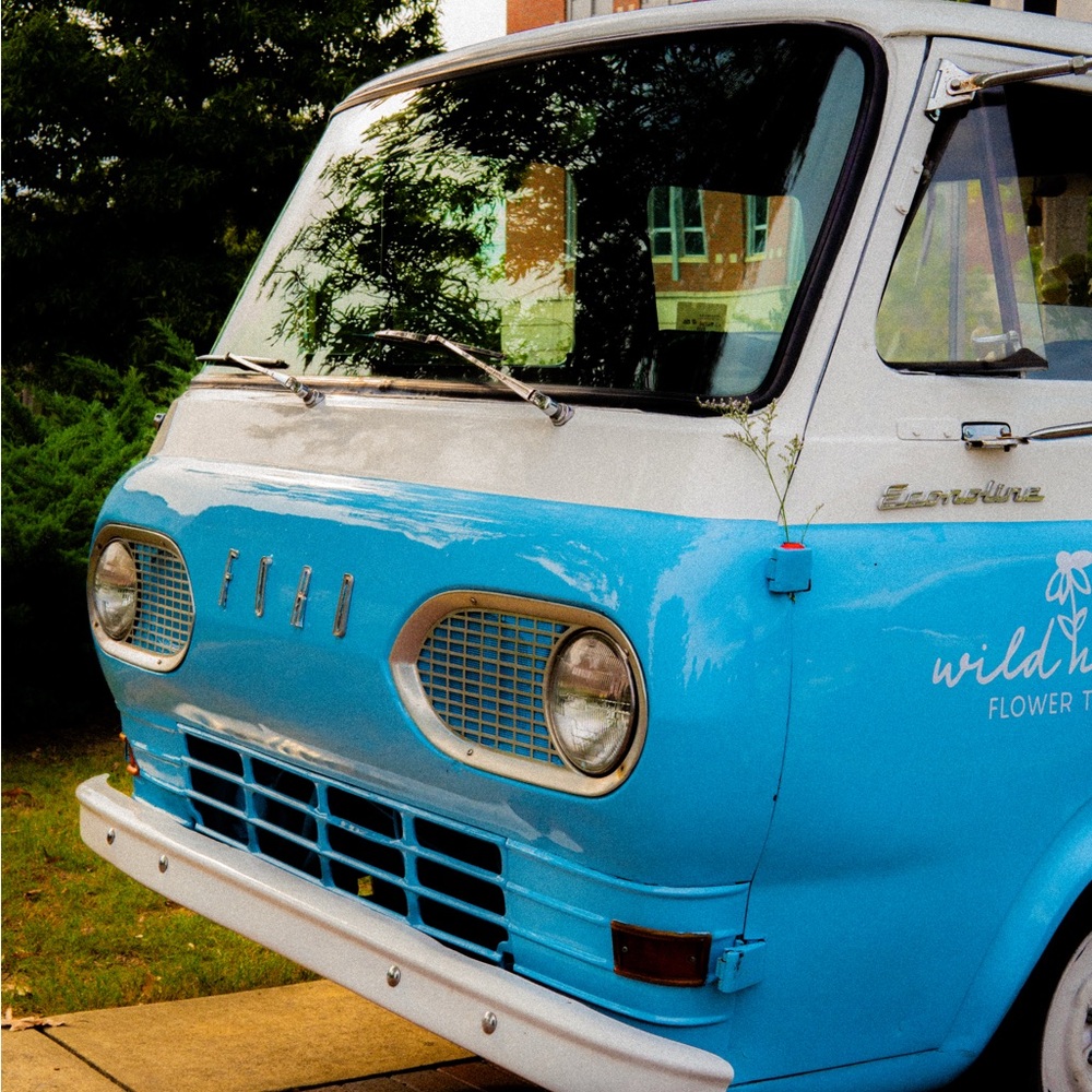 Ford Econoline in Blue and White